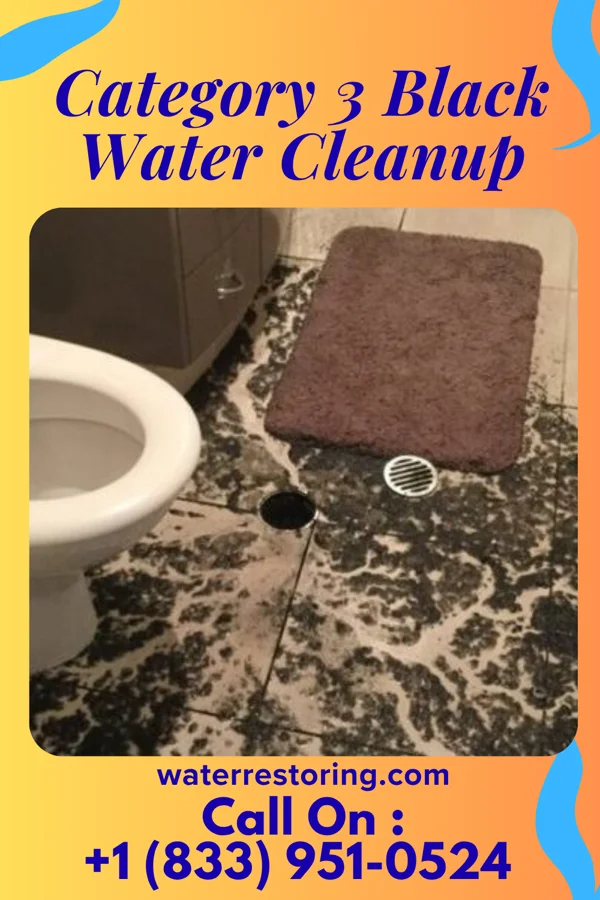 Category 3 Black Water Cleanup in Oakwood, GA