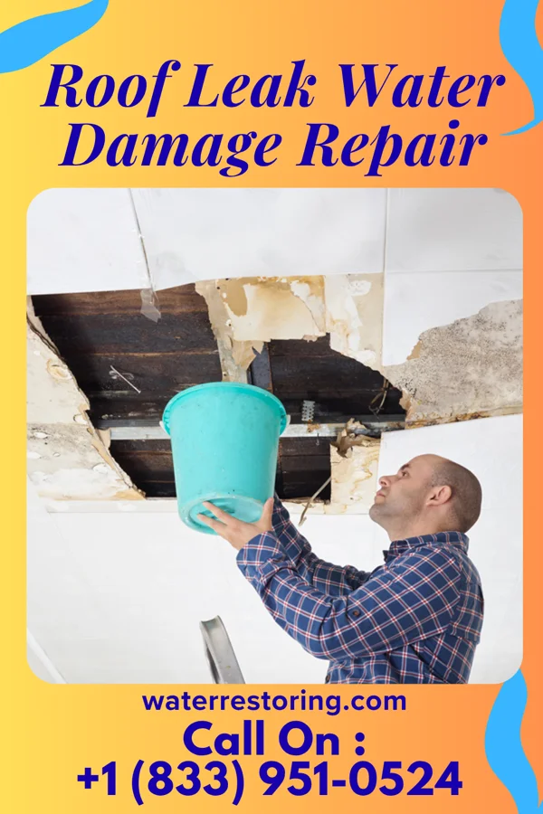 Roof Leak Water Damage Repair in Oakwood, GA